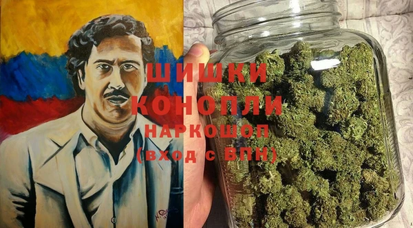 PSILOCYBIN Красноперекопск