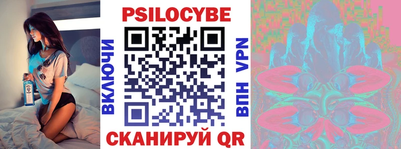 Галлюциногенные грибы Cubensis  дарнет шоп  Новотитаровская 